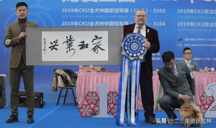 2018年cku全犬种中国展,cku吉林犬展