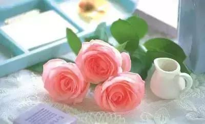 数学儿歌律动相邻数,六年级数学课前儿歌