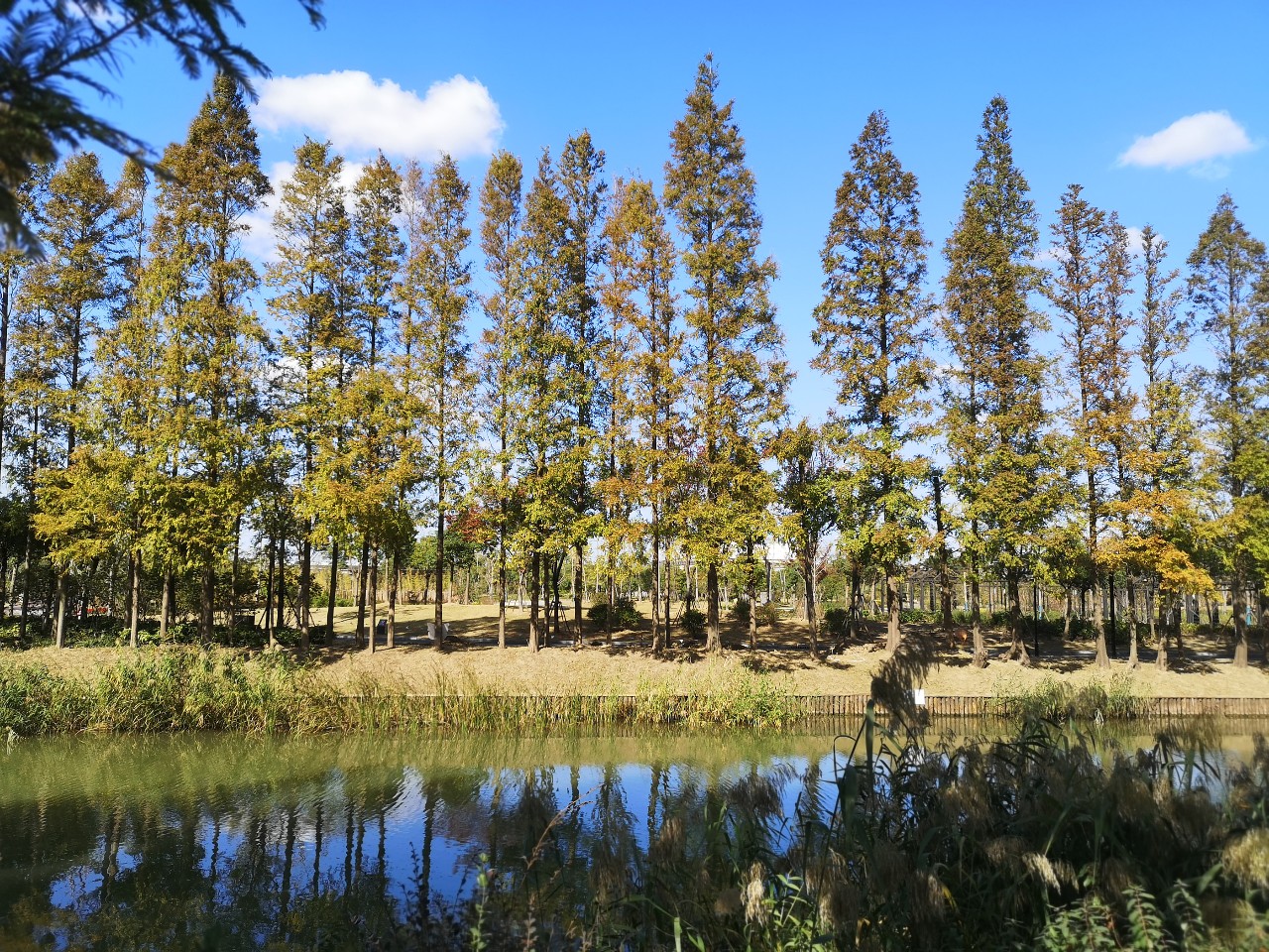 上海浦东唐镇金融家房价,浦东唐镇二手房价