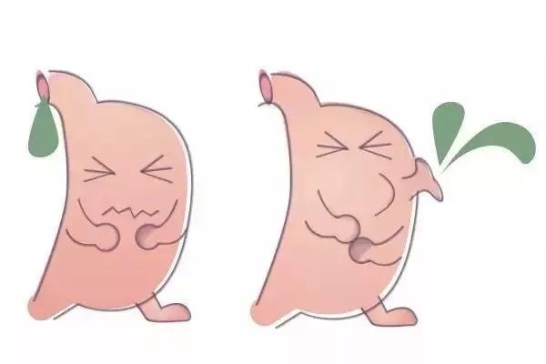 这篇把补脾的知识全讲明白了，一定要收藏