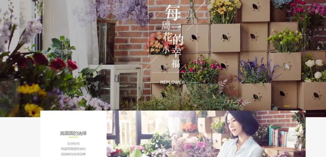 宠物店铺的主流品牌有哪些,宠物品牌现状