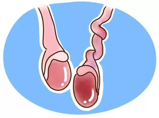 男孩“蛋疼”3天被切除，妈妈多做一件事就能避免的！