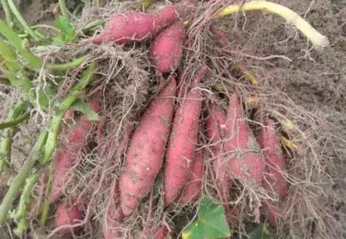 散文人生哲理,散文中富有哲理的话