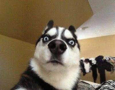 拯救者r70002021锐龙版8g,联想拯救者r7000gtx1650怎么样