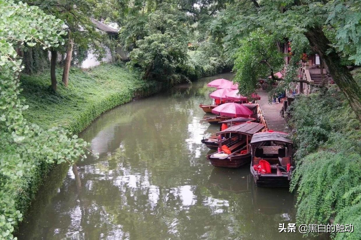 苏州除了拙政园还有哪个园林最好,苏州哪个园林最值得游玩