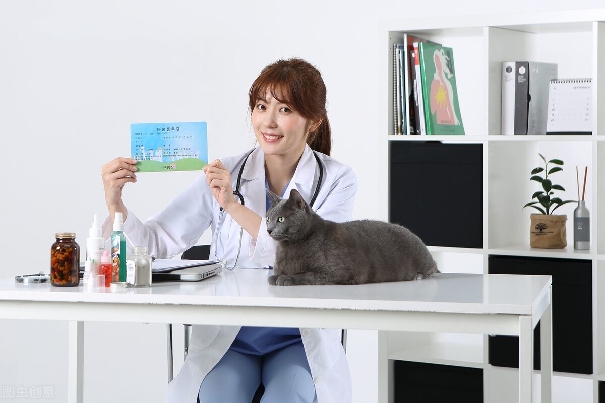 小狗冠状病毒还拉肚子呕吐,宠物出现呕吐