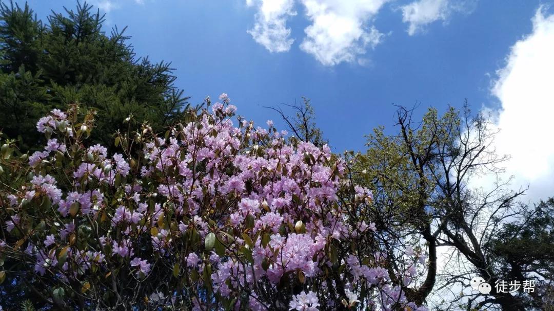 适合新手的人生第一座雪山,人生中的第一座雪山应该爬哪里