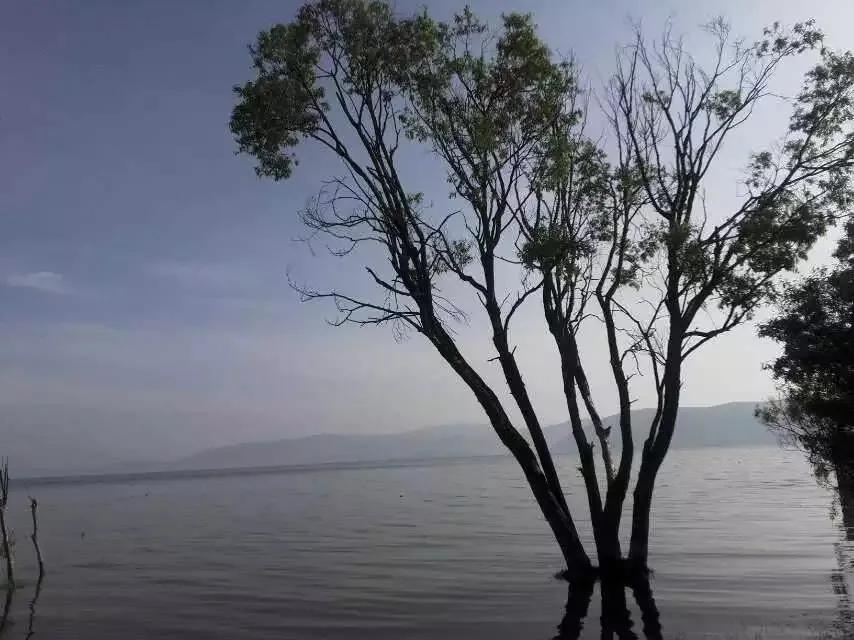 不要嫁给两个儿子的家庭,未来结婚应该嫁给什么样的男人
