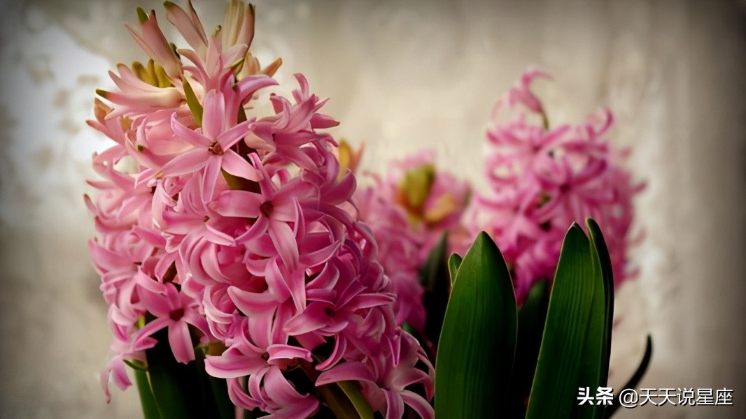 对爱情最挑剔的三个星座女,最擅长偷心的4个星座女