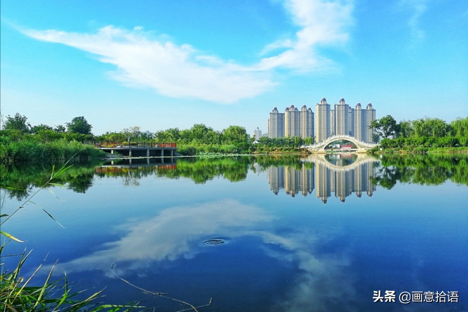 诗词鉴赏｜亭廊秀色觅荷香，月夜苍穹映碧光