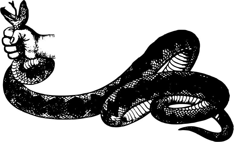 家中闯入眼镜王蛇,女子家中发现2米的眼镜王蛇