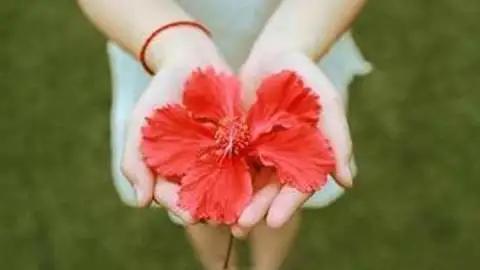 鏈変竴绉嶅コ鎬ц传鍥板彨鏈堢粡璐洶,鏈変竴绉嶈传鍥板彨鏈堢粡璐洶