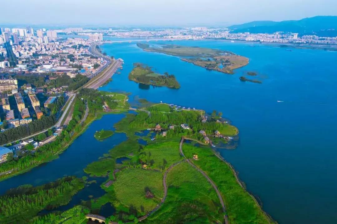 碧桂园·星荟——城芯优雅人居，星奢美学生活