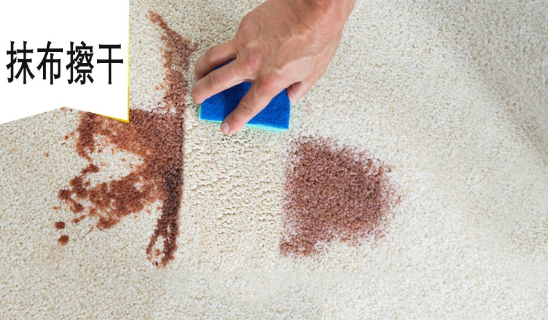 地毯清洁小技巧,地毯清洁四种方法