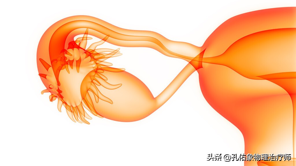 女性为什么大腿根会痛,中年女性大腿内侧疼痛是怎么回事