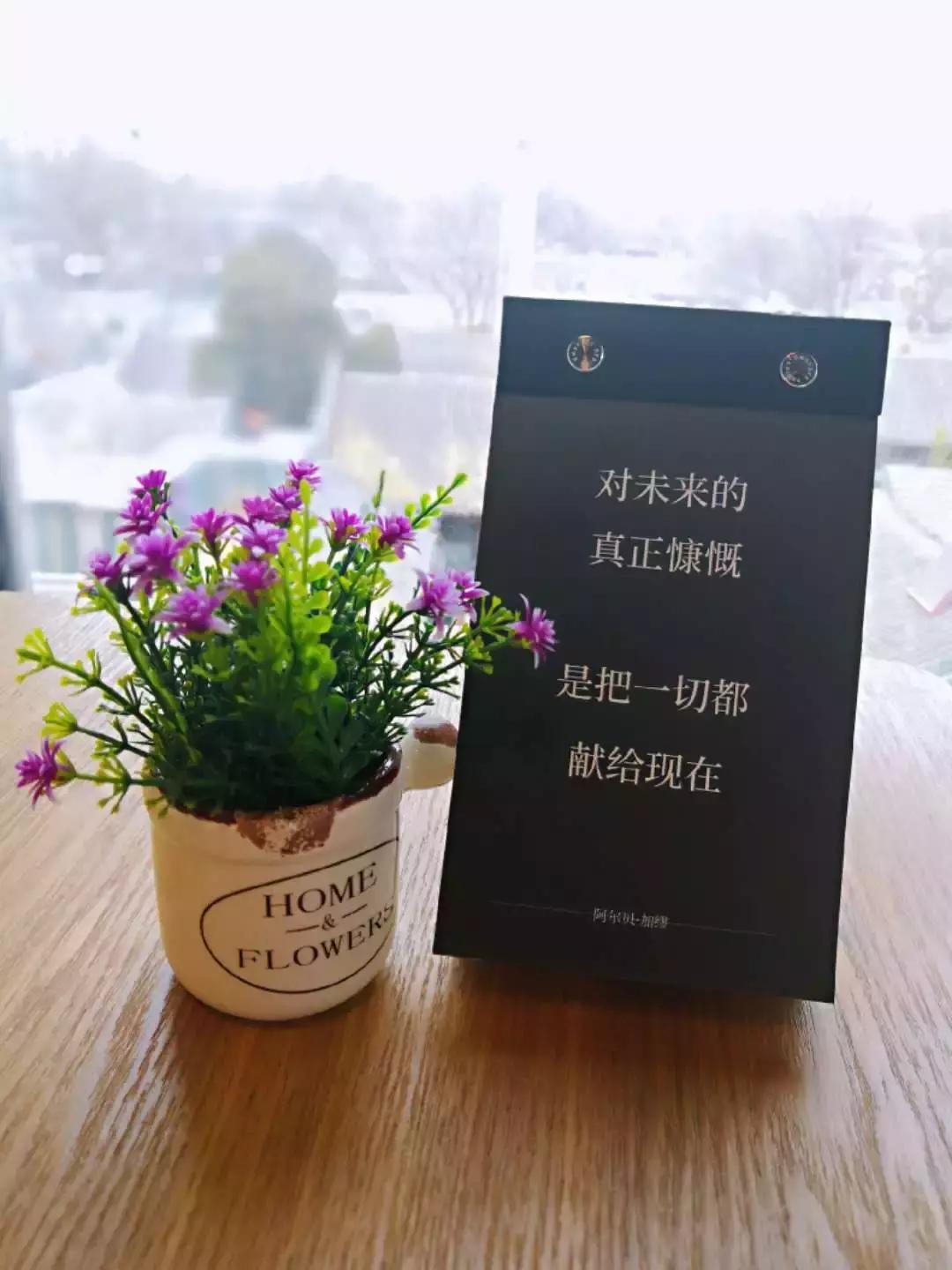 娌℃湁鍚庢倲鑽鐝嶆儨鏃堕棿,瀹屾暣鐗堟病鏈夊悗鎮旇嵂