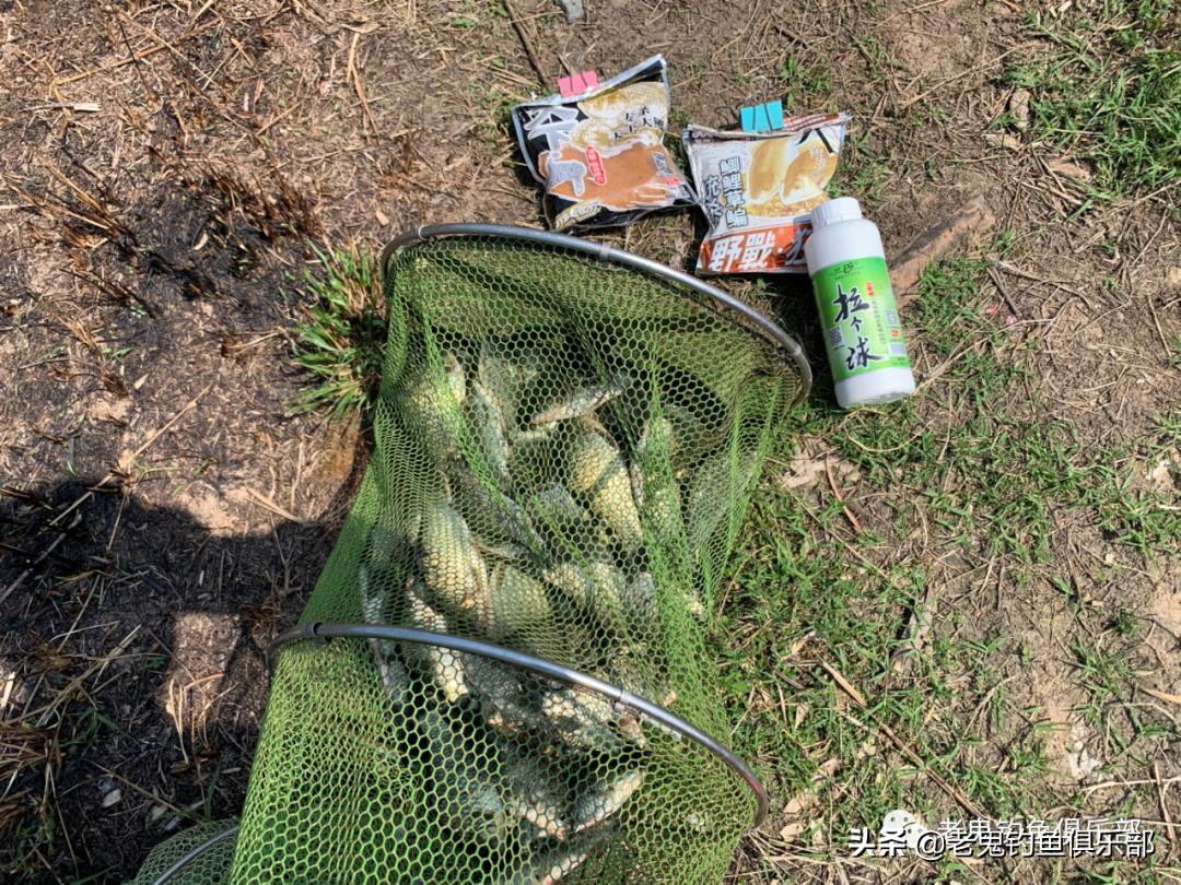 用鬼飞饵钓鱼,用鬼飞路亚怎么样