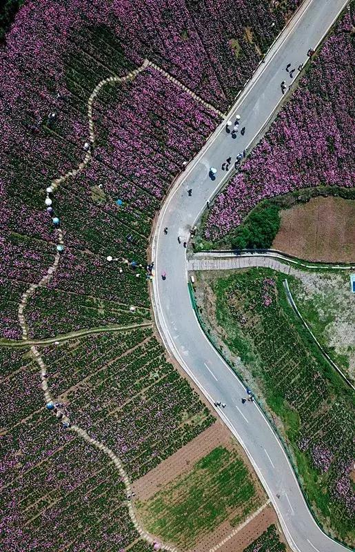 龙泉山山顶看美景,美丽的龙泉山