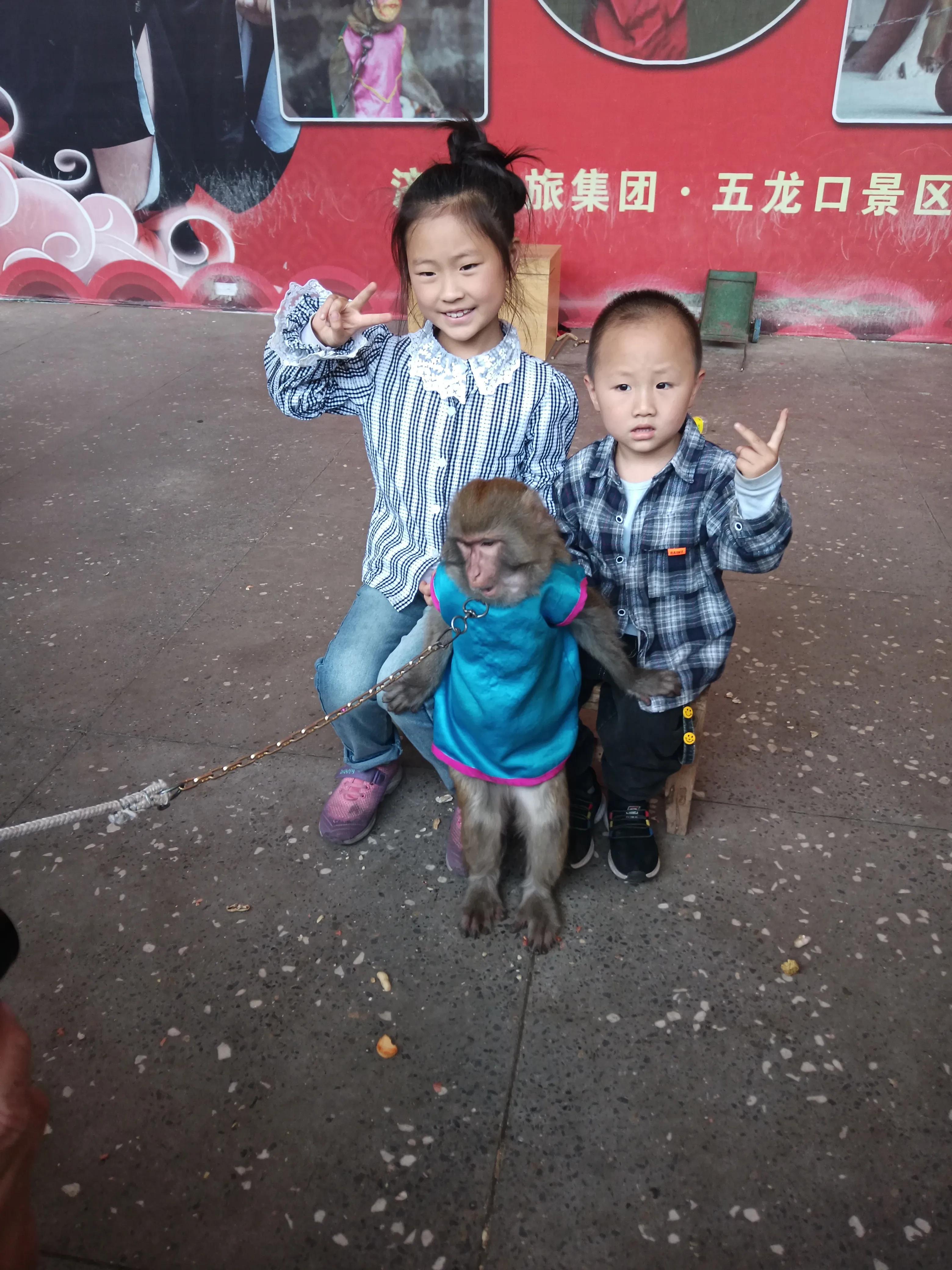 五龙口一日游,五龙口一日游攻略