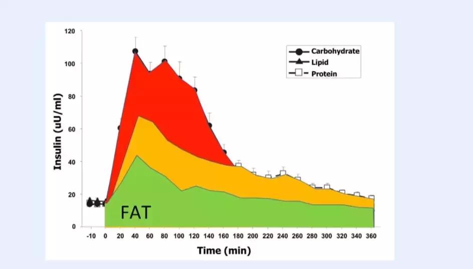世界公认减肥2天瘦10斤,日本快速减肥法一星期瘦十斤