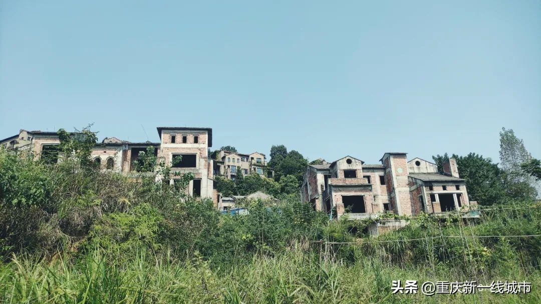 荒野求生之神秘洞穴,荒野求生神秘洞穴