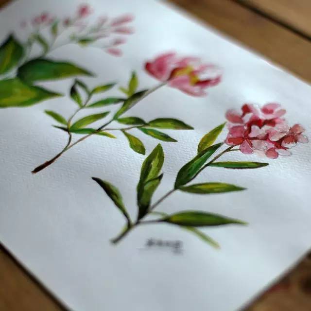 做一些无用的事。手把手教你画几朵花，够你打发一下午时间