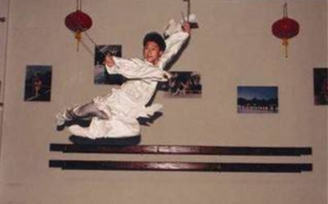 46岁吴京简介,吴京45岁拍的什么电影