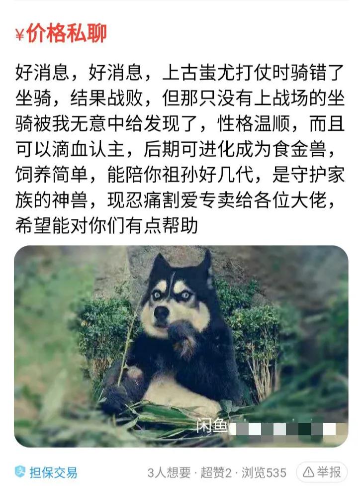 怀疑有人进行非法交易可以报警吗,怀疑有人进行非法交易