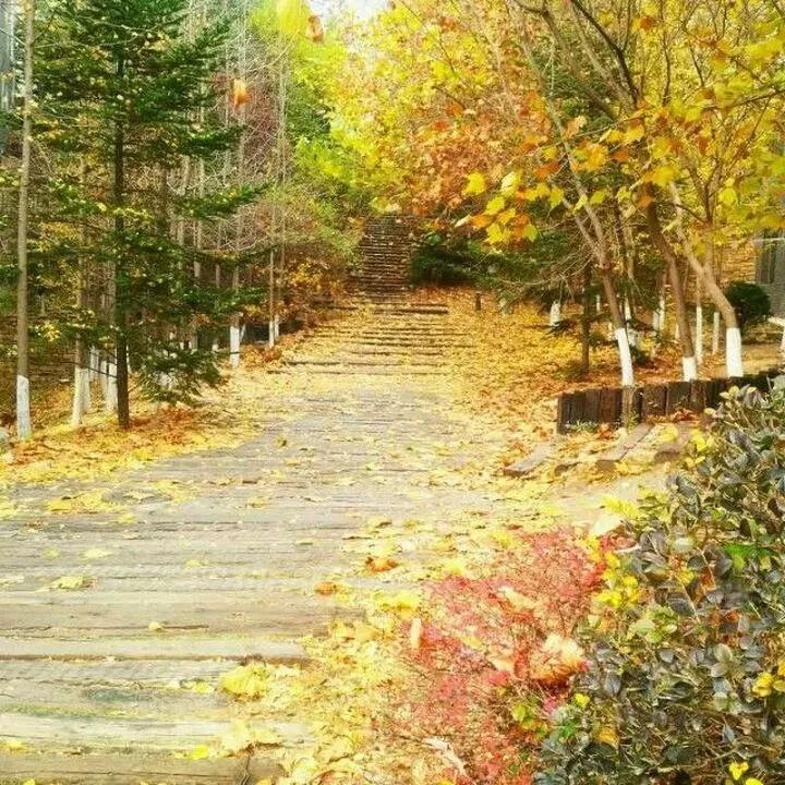 辽宁省民办大学（二）大连东软信息学院