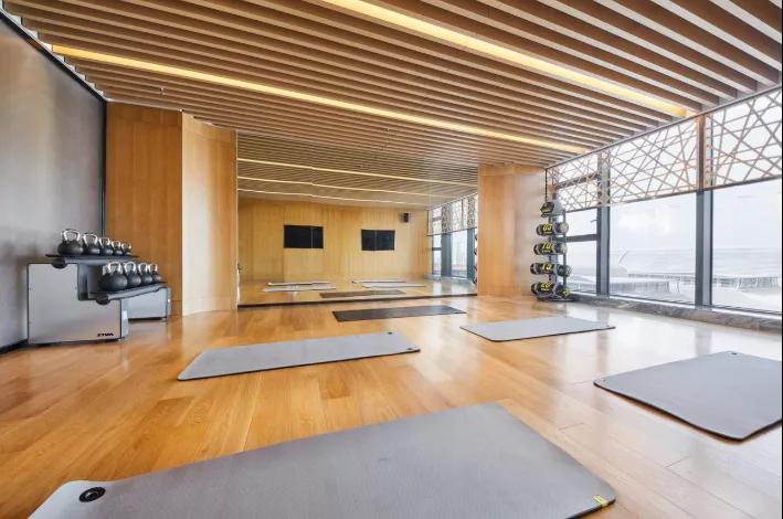 海滨老城泡桐花 (海滨老城紫色泡桐花)