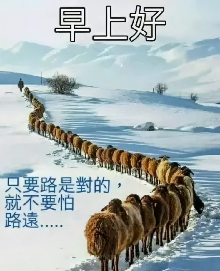 朋友圈早安表情包唯美,问好的表情包显得很高冷吗