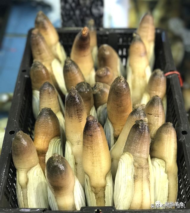 世界公认十大海鲜,全球顶级海鲜食材大赏