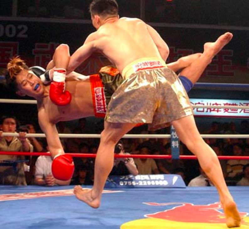 散打核心是什么,散打简短简介