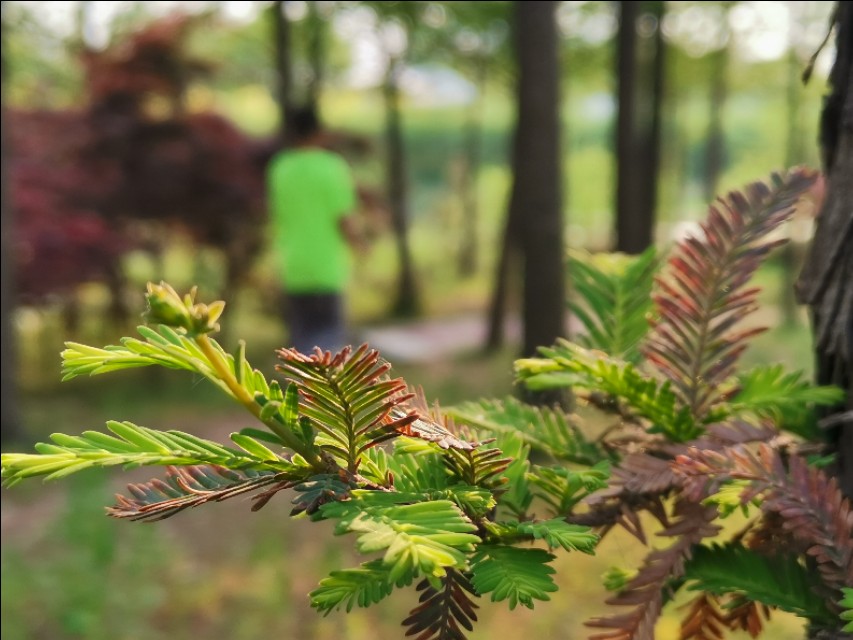 山东莒县重点发展,莒县近五年发展变化