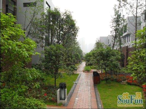 万科地产十大坑,万科的故事