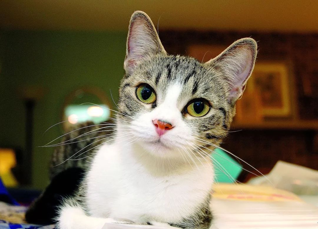 准妈妈的日常护理准则,准妈妈注意事项大全