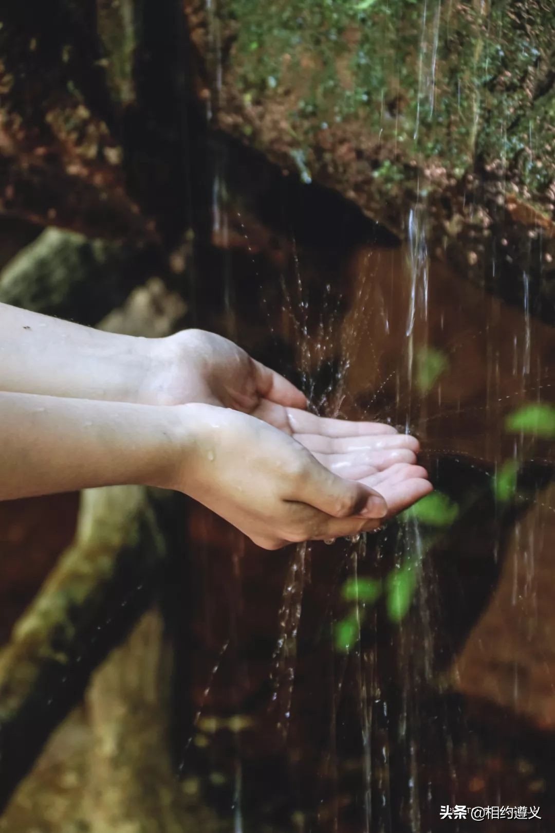 赤水大瀑布 侏罗纪公园 (贵州赤水侏罗纪公园攻略)