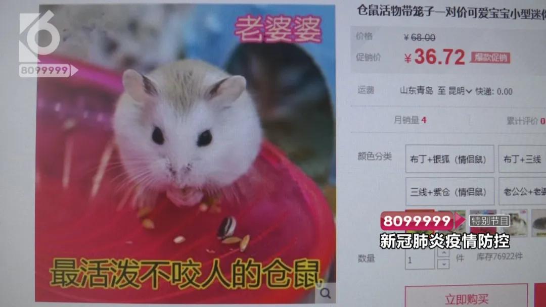 现在的花鸟市场还能卖吗,花鸟市场能买到吗