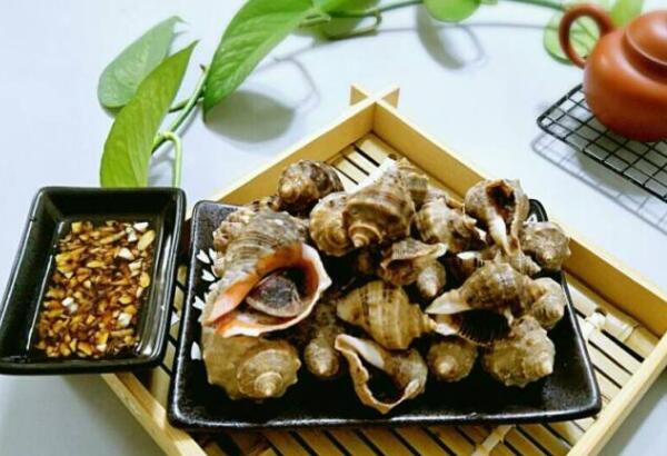 这个季节不能吃的海螺,海边人吃海螺的正确吃法