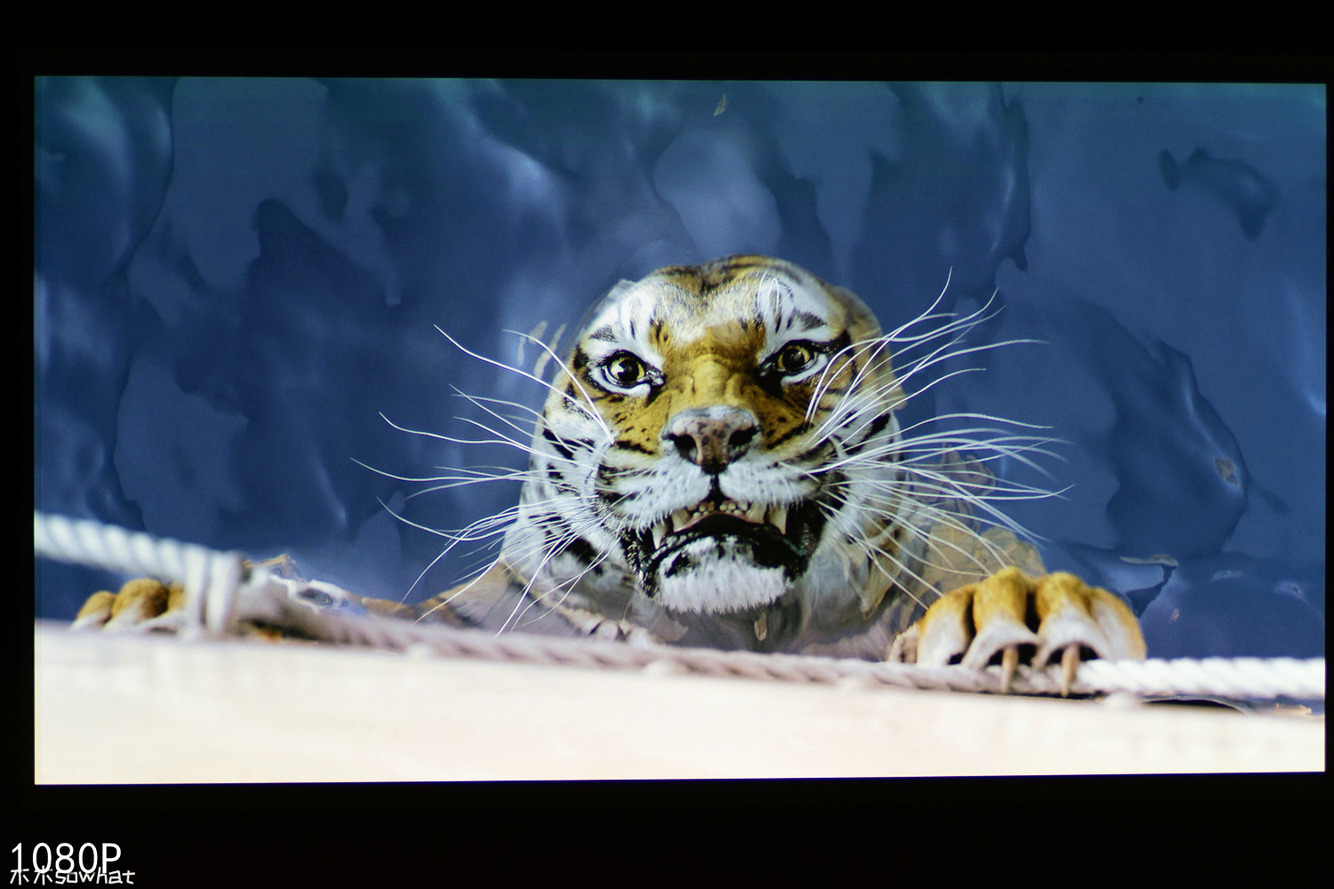 8000块的4K投影仪效果怎么样,800元的1080p的投影仪