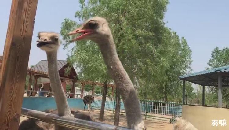 洛阳隋唐植物园五一期间要门票吗,五一去昆明植物园还有花可看的吗
