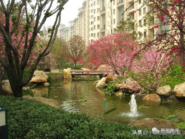 住宅小区植物配置方案,植物种植小技巧一览表图