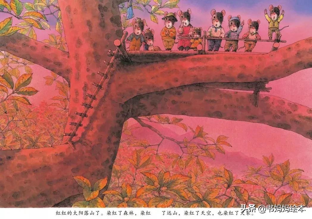 中秋与月亮绘本故事图片,中秋节的晚上我想对月亮许愿绘本