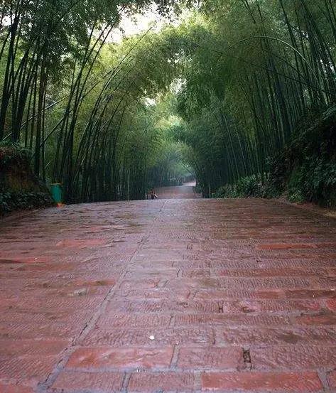 宜宾市长宁蜀南竹海,我的中国行