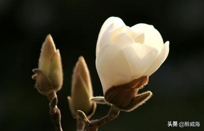 恒大球场建造视频,恒大球场美如画