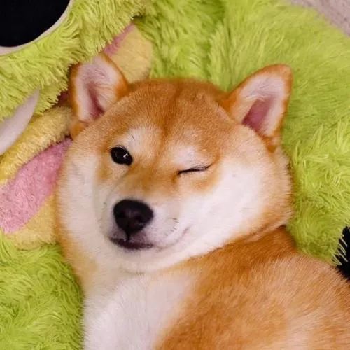 女生付钱密码都是什么密码,女生的暗号你知道吗