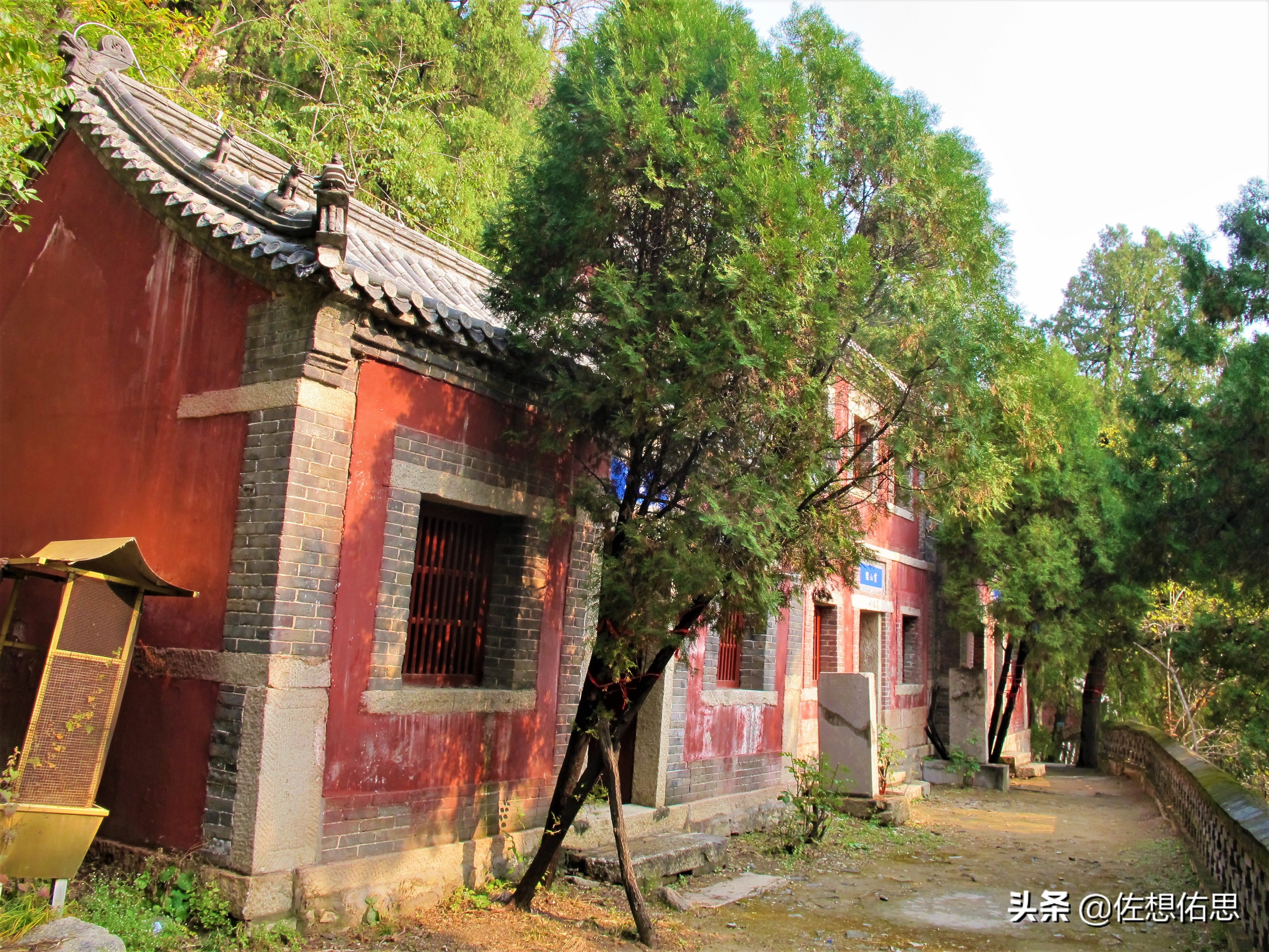 扇子崖优惠,泰安扇子崖免门票吗