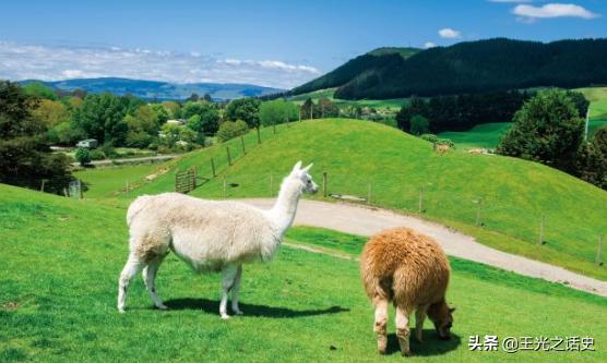 新西兰是地球最后的净土吗,新西兰十大未解之谜
