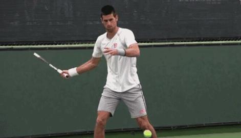 网球技术动作赏析,网球的原理动画演示