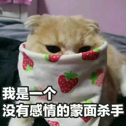 这里的毛毛千万别乱拔！小心会有生命危险